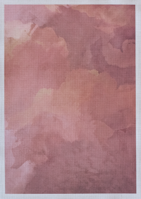 /Desktopmodules/Echoppe/Api/Helpers/getmedia?guid=01c9b445-c807-4ad9-8628-d6e02051cd6f