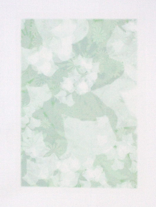 /Desktopmodules/Echoppe/Api/Helpers/getmedia?guid=04f3f572-57d7-4294-98a4-1ce1d7d95a37