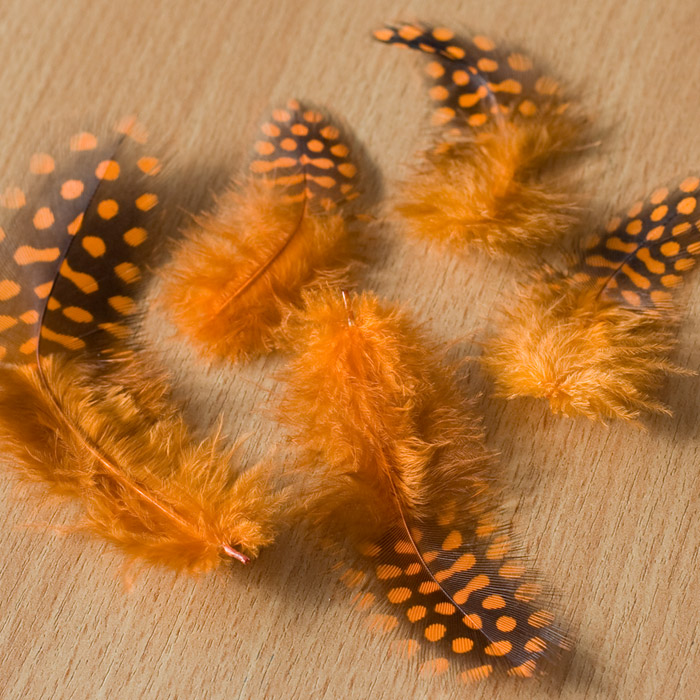 /Desktopmodules/Echoppe/Api/Helpers/getmedia?guid=07a3ce3c-d1f1-4015-81e6-d07cef9d5f27