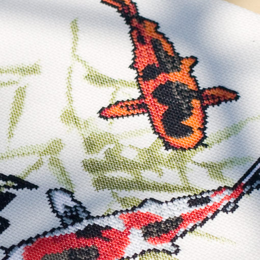 /Desktopmodules/Echoppe/Api/Helpers/getmedia?guid=0c1d85e1-39a0-439c-8a85-734c3dd3e78b