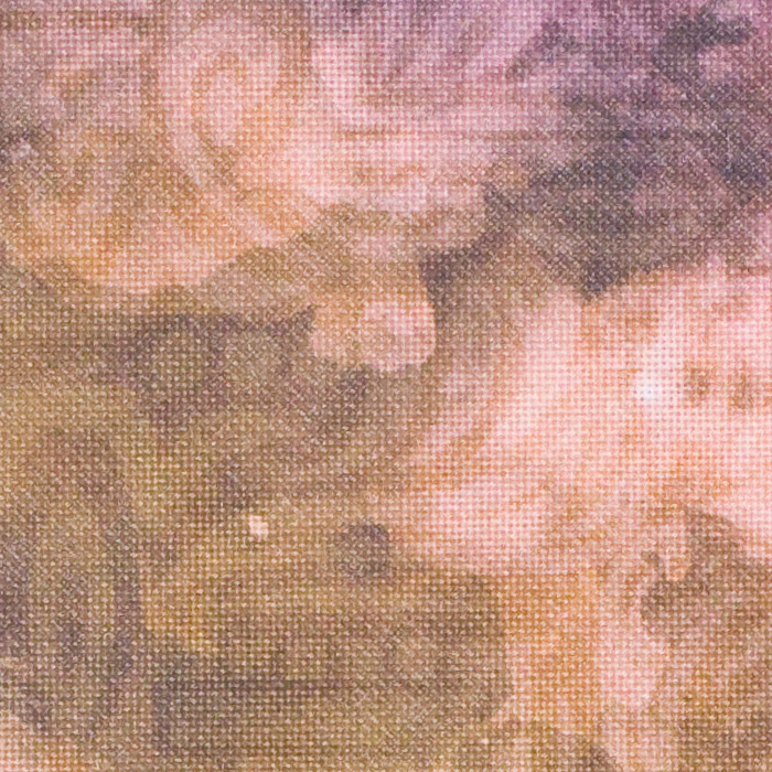 /Desktopmodules/Echoppe/Api/Helpers/getmedia?guid=0f236e5a-5615-4ae4-b192-ad4ececa770d