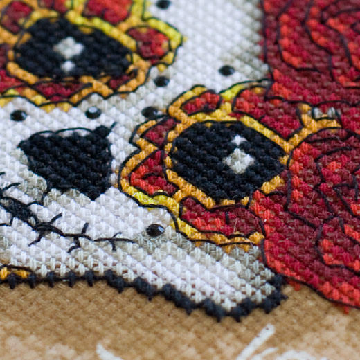 /Desktopmodules/Echoppe/Api/Helpers/getmedia?guid=137c9c6d-bfc0-4e92-985f-11ccc8943b0e