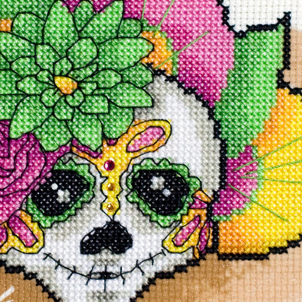 /Desktopmodules/Echoppe/Api/Helpers/getmedia?guid=16edbf21-436b-4f04-94db-143723ff3cff