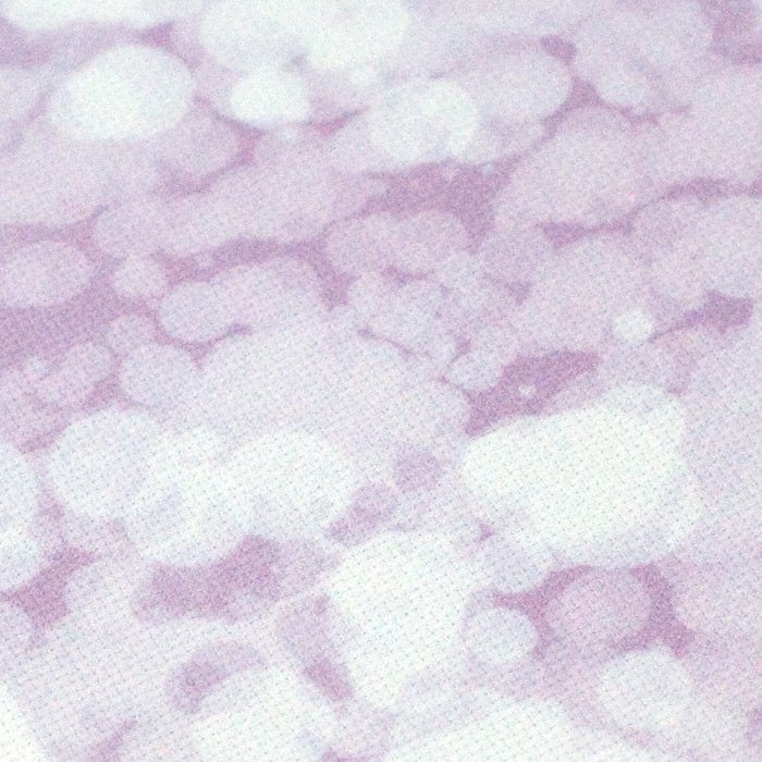 /Desktopmodules/Echoppe/Api/Helpers/getmedia?guid=2859cef5-5749-4bc4-b3fd-a231491fa703