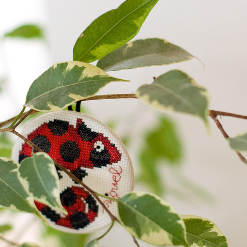 /Desktopmodules/Echoppe/Api/Helpers/getmedia?guid=28e0dd20-604e-420c-8778-63fd1ccf87fc