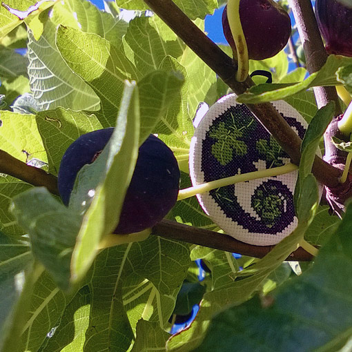 /Desktopmodules/Echoppe/Api/Helpers/getmedia?guid=39353fbe-89ea-4a42-9db6-e8f7a4e4afa8