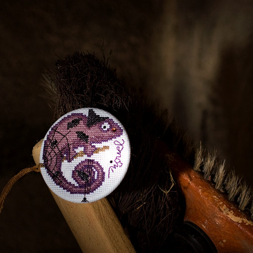 /Desktopmodules/Echoppe/Api/Helpers/getmedia?guid=40bcf1db-0b8f-483d-bee1-e5a49693ce6d