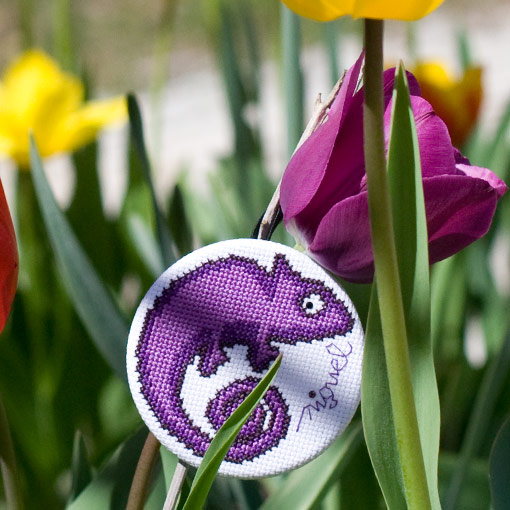 /Desktopmodules/Echoppe/Api/Helpers/getmedia?guid=4723e9b4-ff36-4c0b-88f6-ee008c519897