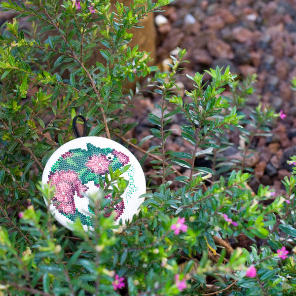 /Desktopmodules/Echoppe/Api/Helpers/getmedia?guid=4a98dee3-8d50-41e7-b3a5-c8ea0c1056d8