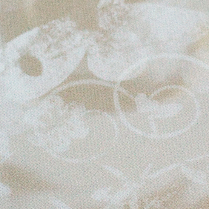 /Desktopmodules/Echoppe/Api/Helpers/getmedia?guid=4c9c7c3c-f33d-49ab-b224-ce9ec614abe7