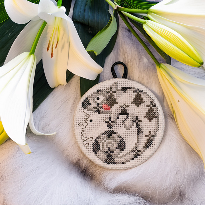 /Desktopmodules/Echoppe/Api/Helpers/getmedia?guid=4e7f3f3d-8ef5-4b1d-a691-9882347d3dda