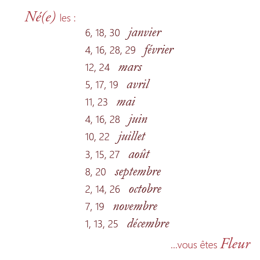 /Desktopmodules/Echoppe/Api/Helpers/getmedia?guid=5163587d-b39c-425c-a369-03d3c70a89b5