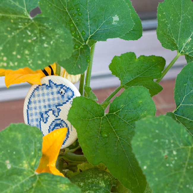 /Desktopmodules/Echoppe/Api/Helpers/getmedia?guid=7fbfa1dd-8443-41a7-b9a6-b61c6ed5b57c