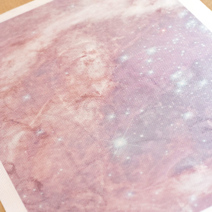 /Desktopmodules/Echoppe/Api/Helpers/getmedia?guid=87f354a9-50d6-4234-843b-abdcc5fa0b0a