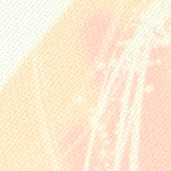 /Desktopmodules/Echoppe/Api/Helpers/getmedia?guid=8c54034b-b558-4b44-9f1c-ee521ea22fdf