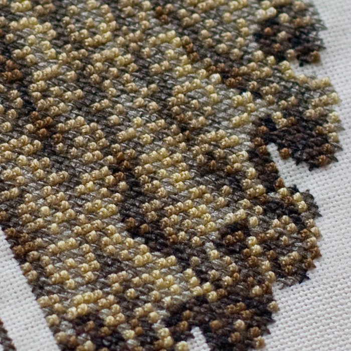 /Desktopmodules/Echoppe/Api/Helpers/getmedia?guid=9615a995-4b57-4731-a9f4-4e1da47a9f29