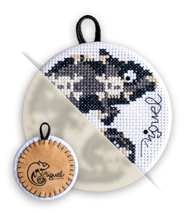 /Desktopmodules/Echoppe/Api/Helpers/getmedia?guid=9625b980-ddc4-4069-981e-b515c30bafd7