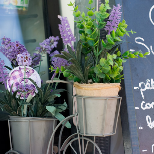 /Desktopmodules/Echoppe/Api/Helpers/getmedia?guid=986c1075-b056-4d9f-bc00-269622c97556