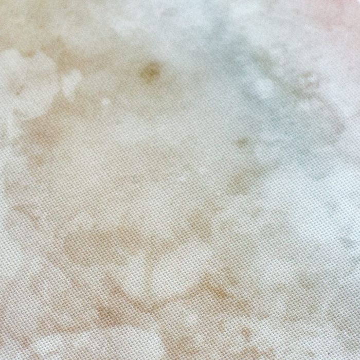 /Desktopmodules/Echoppe/Api/Helpers/getmedia?guid=9f7e32e1-3fe9-4676-a3e4-a7d05772b14a