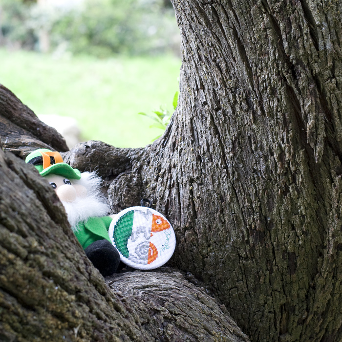 /Desktopmodules/Echoppe/Api/Helpers/getmedia?guid=a5dc07a5-282e-4dc9-8a00-3f86c7f1c998