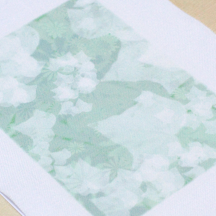 /Desktopmodules/Echoppe/Api/Helpers/getmedia?guid=a85f7276-cf34-44bf-9a24-e2759447379d