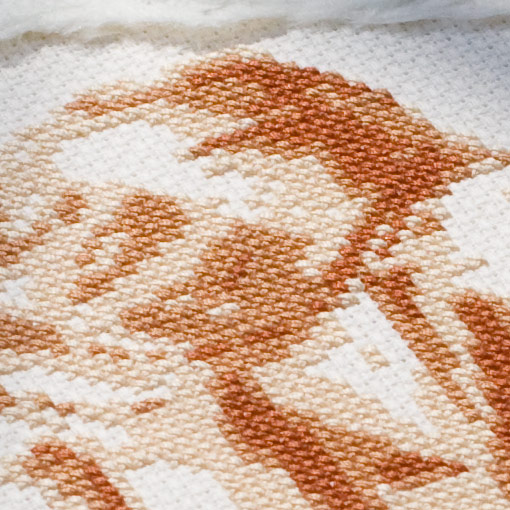 /Desktopmodules/Echoppe/Api/Helpers/getmedia?guid=b13cc7c5-c3f4-4b0a-9051-9a20e36235b6