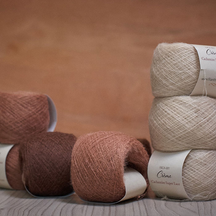 /Desktopmodules/Echoppe/Api/Helpers/getmedia?guid=b5c2cbd0-a621-4766-b1f8-b7445f1812af