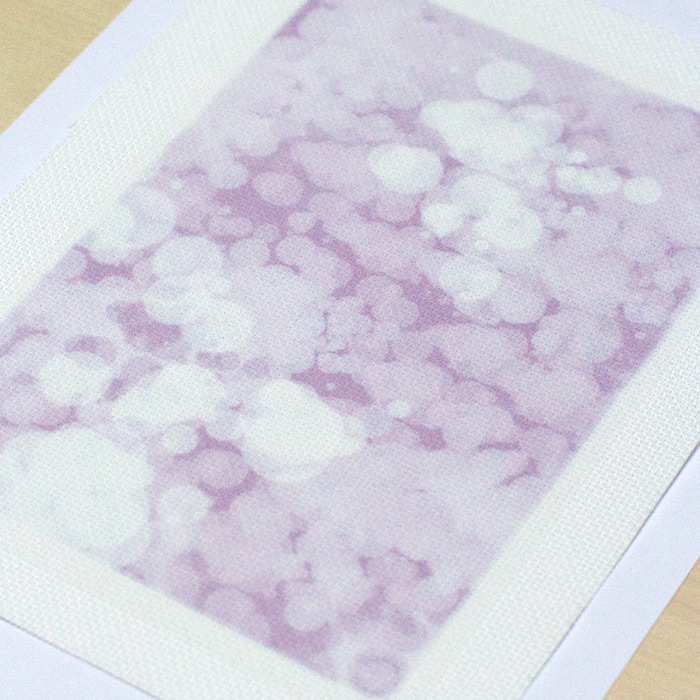 /Desktopmodules/Echoppe/Api/Helpers/getmedia?guid=b5d572d5-9110-4fd8-a754-3530c7f8fb37