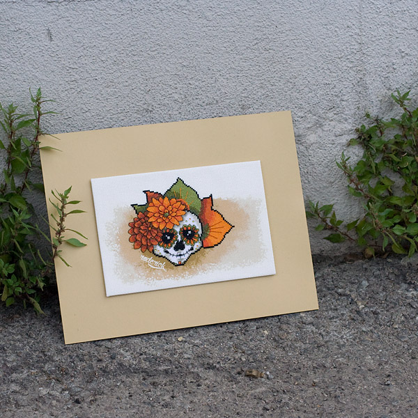 /Desktopmodules/Echoppe/Api/Helpers/getmedia?guid=be03070b-a2d3-4274-b0b3-2efdb1e06c32