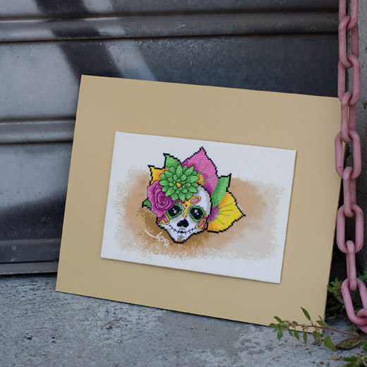 /Desktopmodules/Echoppe/Api/Helpers/getmedia?guid=c31cc34a-5901-4fd2-8cbd-53a0814c7b6b