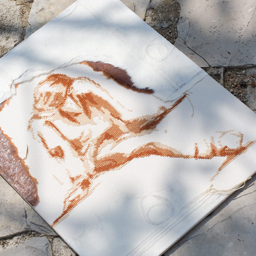 /Desktopmodules/Echoppe/Api/Helpers/getmedia?guid=ccf0304f-bd64-4029-b641-9e60085b4e8c