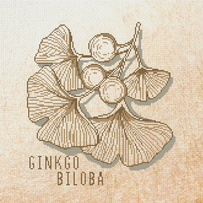 /Desktopmodules/Echoppe/Api/Helpers/getmedia?guid=e45124d1-c5ab-4dac-b8b8-8b089eacf1ba