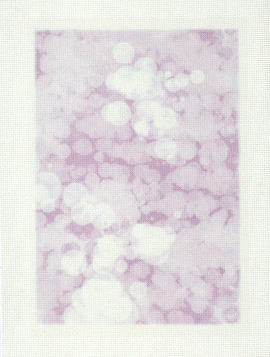 /Desktopmodules/Echoppe/Api/Helpers/getmedia?guid=e6e2a68a-abf5-4450-b75a-708863d40ce1