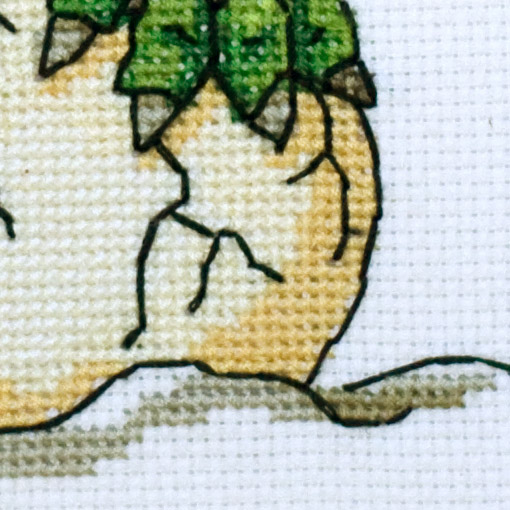 /Desktopmodules/Echoppe/Api/Helpers/getmedia?guid=fdba76a1-a63a-49d0-863a-6a81296d171a