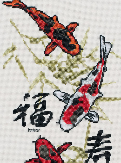 Carpes koi
